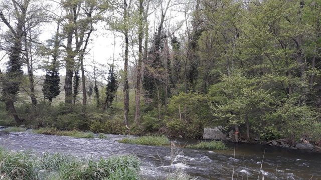Domaine Camping les Roches