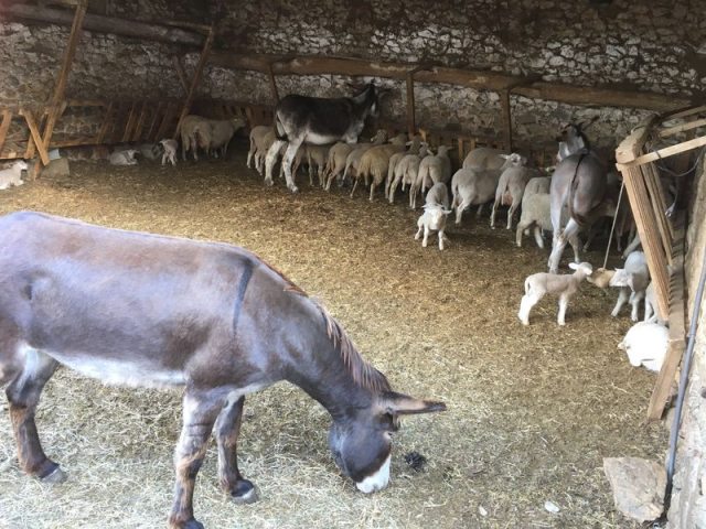 Camping La Ferme de Simondon