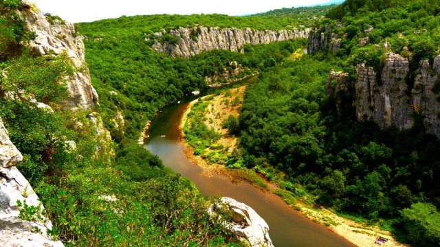 Camping les Actinidias